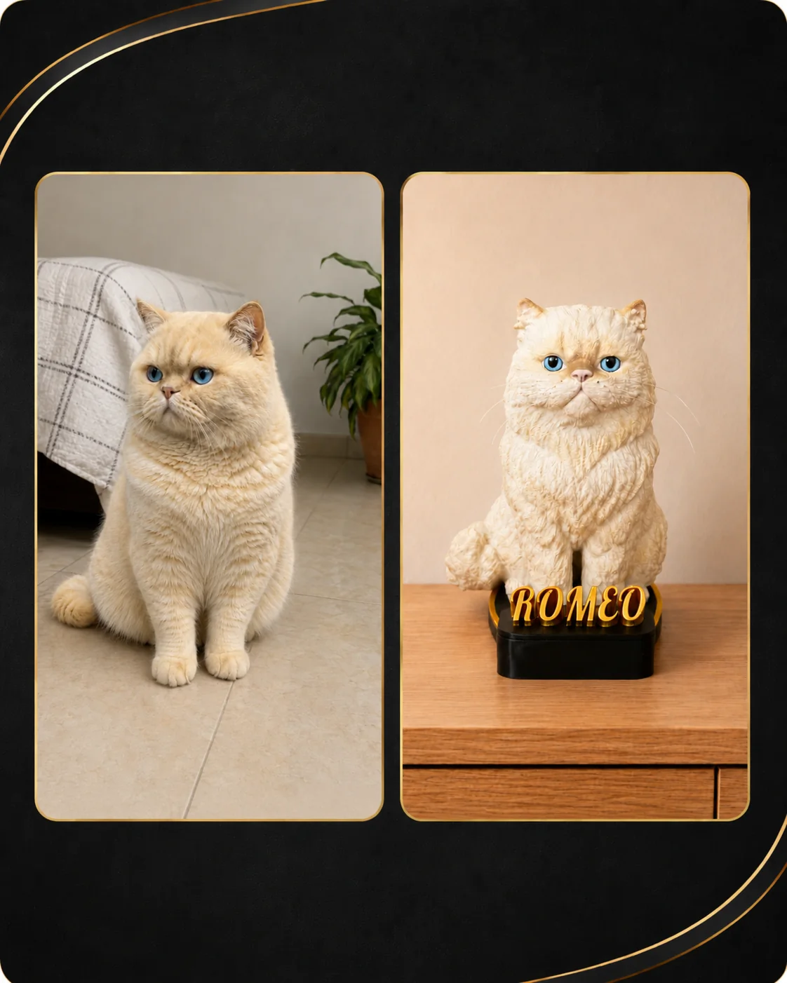 Escultura personalizada de gato Romeo comparada con su foto real | Aura Colombia 3D