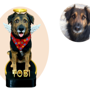 Replica 30cm de tu mascota personalizada