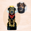 Réplica 20 cm de tu mascota personalizada